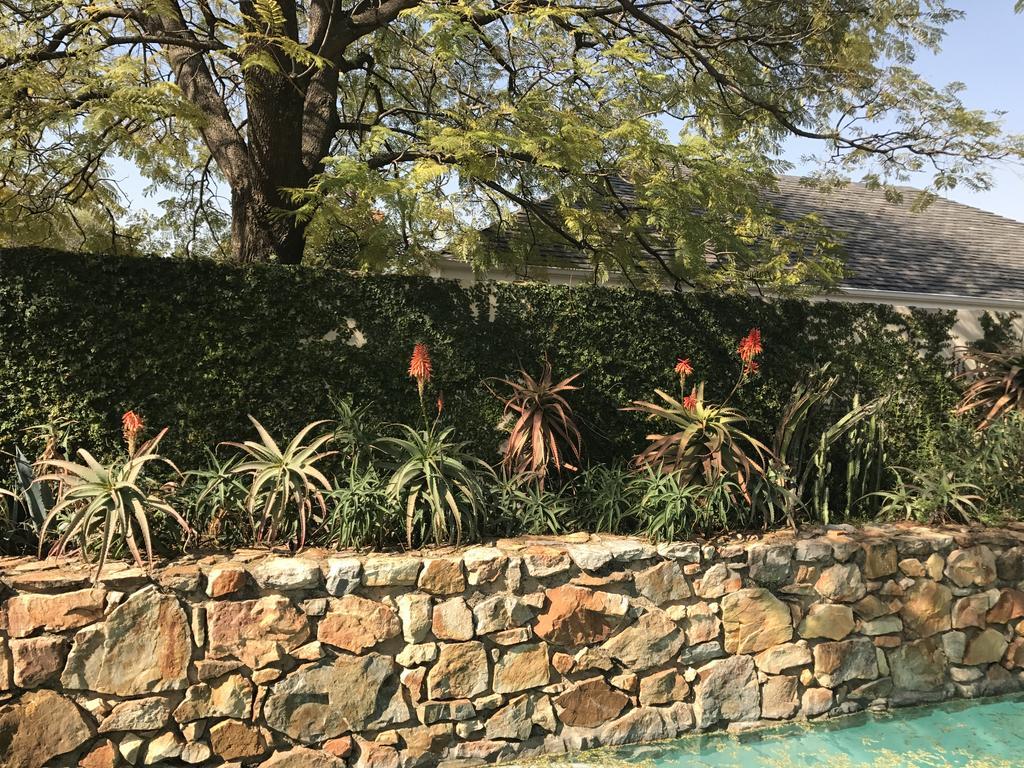 Hotel The Parkwood Johannesburg Exterior foto